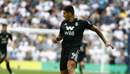 PODRŠKA PALOM BRATU Navijač Fulama se razvodi zbog Aleksandra Mitrovića