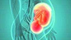 MAME OPREZ U pupčanoj vrpci nađene otrovne materije