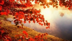 HOROSKOP ZA VIKEND Ovnovi imaju šansu da naprave uspeh, Bikovi bi se mogli zagrejatii za sumnjivu osobu, Blizanci uživaju u sreći