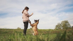 MILICA IMA SAMO 19 GODINA, A NEUSTRAŠIVA JE Od malih nogu je i najopasnijim psima prilazila bez straha (VIDEO)