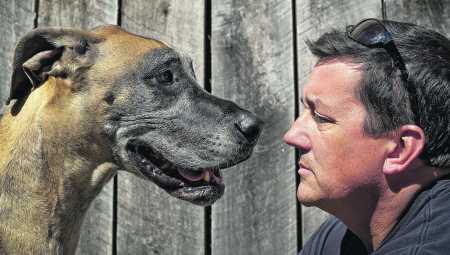 ZAŠTO ZURI U MENE? Vlasnici pasa neretko ostaju zbunjeni kad primete da on netremice gleda u njih