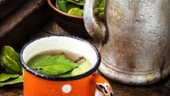 NE POSEŽITE ODMAH ZA LEKOVIMA Ovi listovi mogu da očiste naše bubrege i krvne sudove