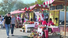 UKRSTILE VARJAČE Svi bi da saznaju tajnu dobrog ajvara, a niko neće da zasuče rukave (VIDEO)