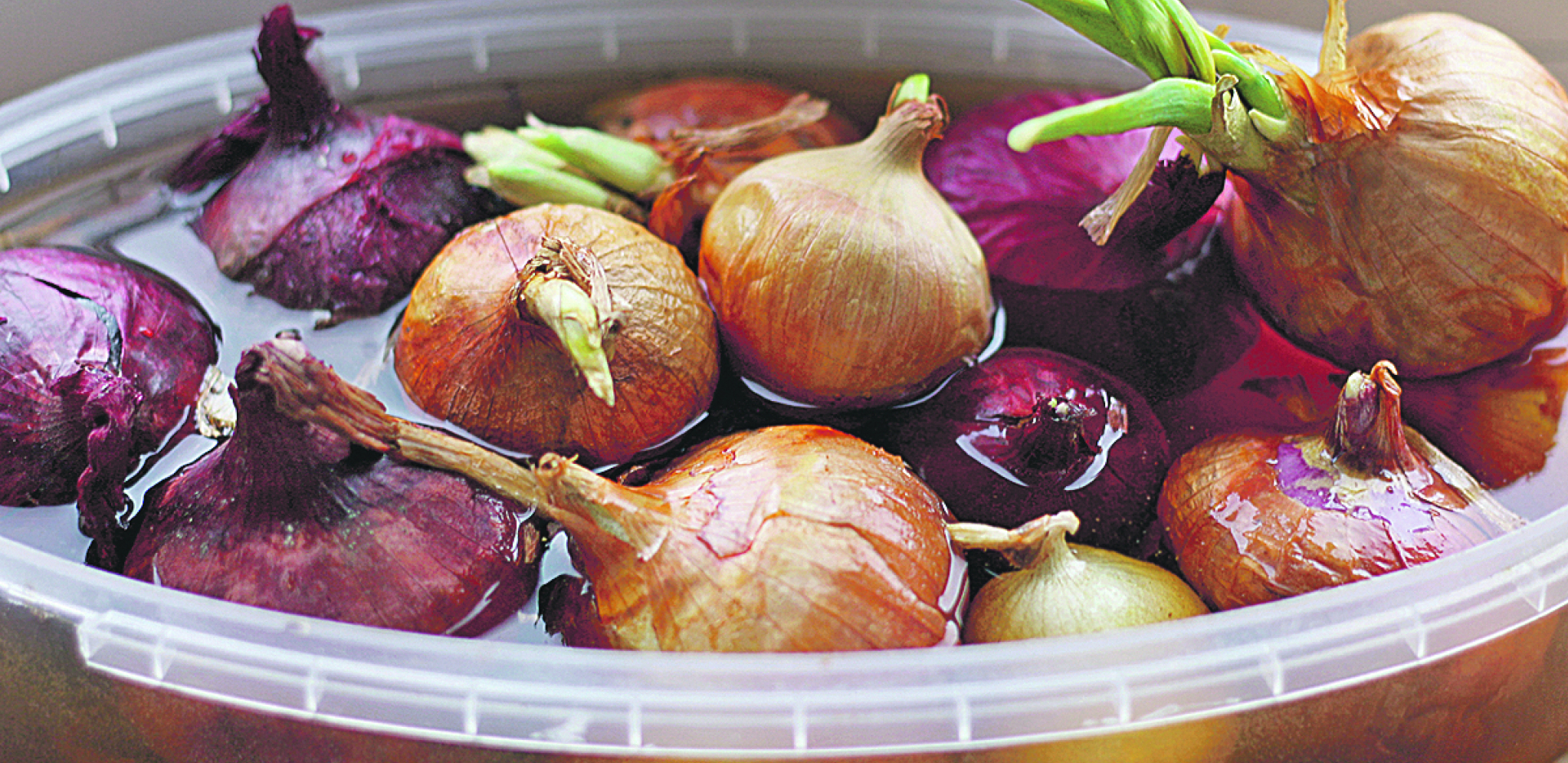 ELIKSIR ZA KOSU OD ĐUBRETA