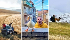 TRI NAJLEPŠE VIKEND DESTINACIJE PO IZBORU "BRKE SA INSTAGRAMA" Putriota vam predlaže šta obavezno da obiđete ove jeseni (FOTO)