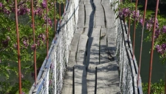 DETALJNA REKONSTRUKCIJA TRAGEDIJE U OVČAR BANJI Ljudi se bezbrižno kretali mostom uprkos upozorenju