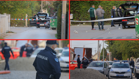 SEDAM GODINA ZA UBISTVO NEMANJE U KRNJAČI Veštačenjem utvrđeno da Vladimir nije bio uračunljiv