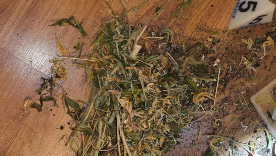 ZAPLENJENO PREKO ŠEST KILOGRAMA DROGE Muškarac iz Vrbasa u stanu držao tegle i semenke marihuane