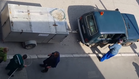 SMRTONOSNA ŽIVOTINJA U CENTRU BEOGRADA Akcija "Zoohigijene", niko ne zna odakle je stigla