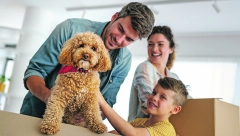 Imaju pozitivan uticaj: Kućni ljubimci podstiču razvoj dece