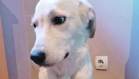 UDOMI ME Zara ljubav stvara