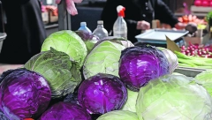 KAKO DA KUPITE KUPUS ZA ZIMNICU BEZ HEMIJE Stručnjaci su detaljno opisali koje glavice treba izbegavati