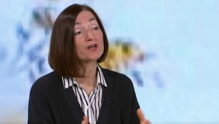 VRLO OPASNA SITUACIJA ZA SRBIJU Smajlović: Zapadu se očigledno žuri u rešavanju kosovskog pitanja