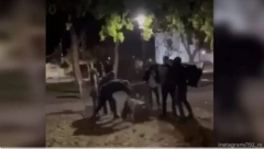 DETALJI MASOVNE TUČE U KIKINDI Delije stolicama i stolovima prebile obezbeđenje jer ih nisu pustili u kafić! (UZNEMIRUJUĆI SADRŽAJ)