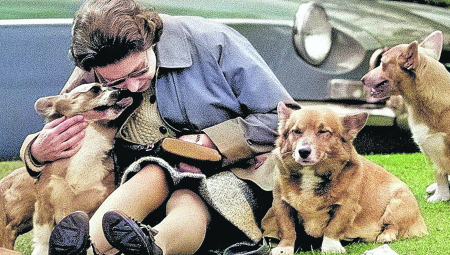 Nakon kraljičine smrti, pomama za korgijima