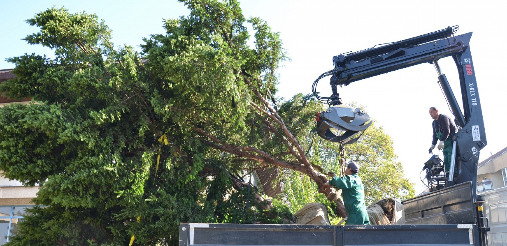 MILLENNIUM TEAM POKLONIO SADNICE GRAĐANIMA ZVEZDARE 24 sadnice nastavljaju da krase Zvezdaru
