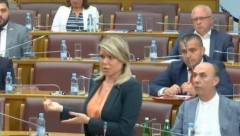 PRIDR'ŽTE DRAGINJU: Poslanica SDP-a doživela histerični napad zbog zakona o predsedniku