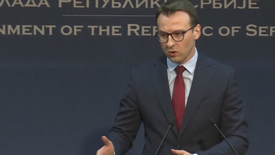 PETKOVIĆ: Ako je nešto u Ohridu pretrpelo poraz, onda je to lešinaraska politika gospođe Đurđević Stamenkovski i njenih saboraca