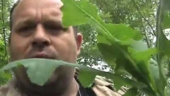 VEKOVIMA SE KORISTI KAO SEDATIV I ANALGETIK Efikasnije smanjuje bol od lekova, a svaki dan ga gazimo