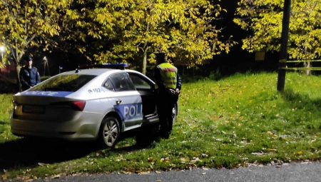 "OVO JE POSLEDICA MRŽNJE I ANTISRPSKE POLITIKE ALJBINA KURTIJA" Oglasio se Petković nakon užasa kod Gračanice!