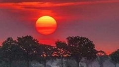 HOROSKOP ZA SREDU, 9. NOVEMBAR Bik treba da prestane da povređuje sebe, Lav traga za novim poslom, Jarac se sa lakoćom upusta u avanturu