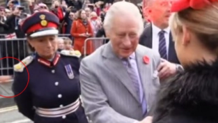 SNIMLJEN TRENUTAK KADA SU JAJA POLETELA NA ČARLSA Policija zadržala i uhapsila počinioca (VIDEO)