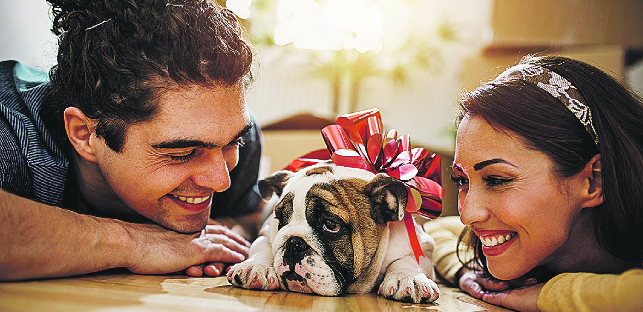 NOVI LJUBIMAC, STARE NEDOUMICE Kupiti ili usvojiti