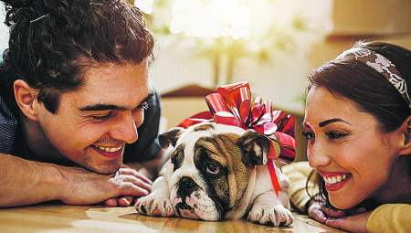 SVE ĆE VAM BITI JASNO Pas može da nanjuši prevaru, ako ovo radi, zapitajte se da li vam je partner veran