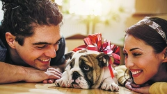 NOVI LJUBIMAC, STARE NEDOUMICE Kupiti ili usvojiti