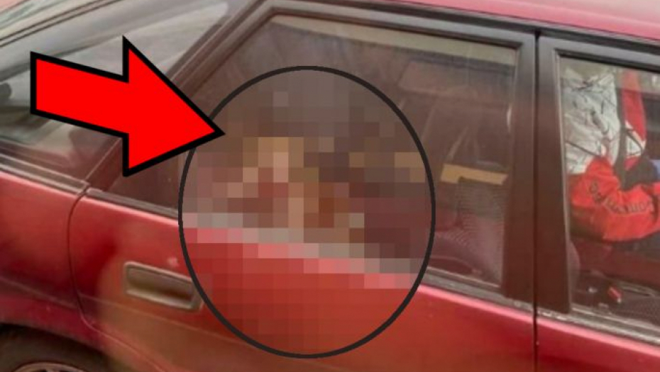 SRPSKA POSLA Beograđanin šokirao građane, na zadnjem sedištu vozi opasnu životinju! (FOTO)