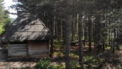 NEMA ULAGANJA, A ZARADA U SRBIJI ODLIČNA Od ovih lekovitih bobica pravi se piće gusara - otkupna cena ove godine skočila duplo!