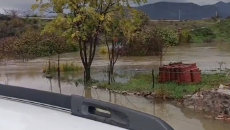 OČEVIDAC ZAČUO GLASOVE SA MOSTA, PA VIDEO ŽENU KAKO ISKAČE IZ AUTA Majka i dva sina stradali u užasnoj nesreći u Crnoj Gori