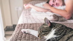 MAČJE TESTERISANJE Da li i vaša mezimica dok spava ispušta strašne zvuke