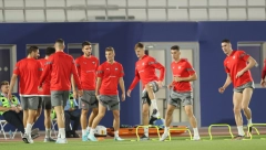 CELA NACIJA MOŽE DA ODAHNE Piksi čuo nikad bolje vesti, trening "orlova" je sve otkrio