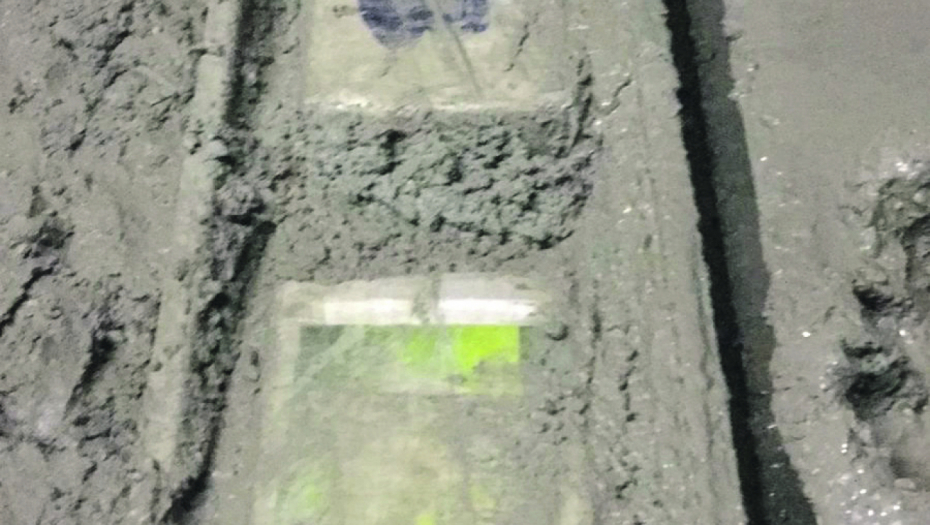 BRAT I SESTRA ZAJEDNO KRIJUMČARILI KOKAIN Ko je sve uhapšen u međunarodnoj akciji