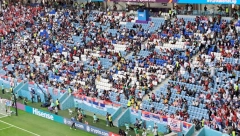 KAO U TRANSU Navijači Srbije pevaju Mitroviću (VIDEO)