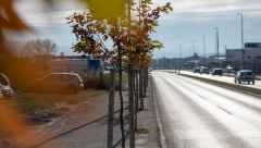 VRAĆALI SA SLAVE KADA SU IH PREBILI Detalji napada na porodicu u Vranju