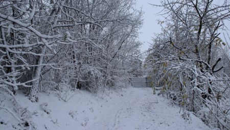 OPASNO VREME! POLARNI VORTEKS NADVIJA SE NAD SRBIJOM! Počinje prava zima, ali to nije sve! Na Kopaoniku moguć zemljotres!