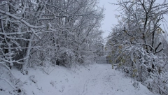 OPASNO VREME! POLARNI VORTEKS NADVIJA SE NAD SRBIJOM! Počinje prava zima, ali to nije sve! Na Kopaoniku moguć zemljotres!