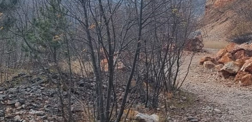 SCENA OD KOJE SE PREVRĆE ŽELUDAC Užas kod Prijepolja, strah se širi među meštanima