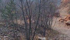 SCENA OD KOJE SE PREVRĆE ŽELUDAC Užas kod Prijepolja, strah se širi među meštanima
