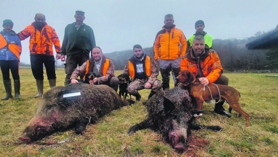 NA NIŠANU Dva vepra, jedan 150, a drugi oko 100 kilograma, ulivali strah meštanima Suvobora: Lovci odstrelili grdosije