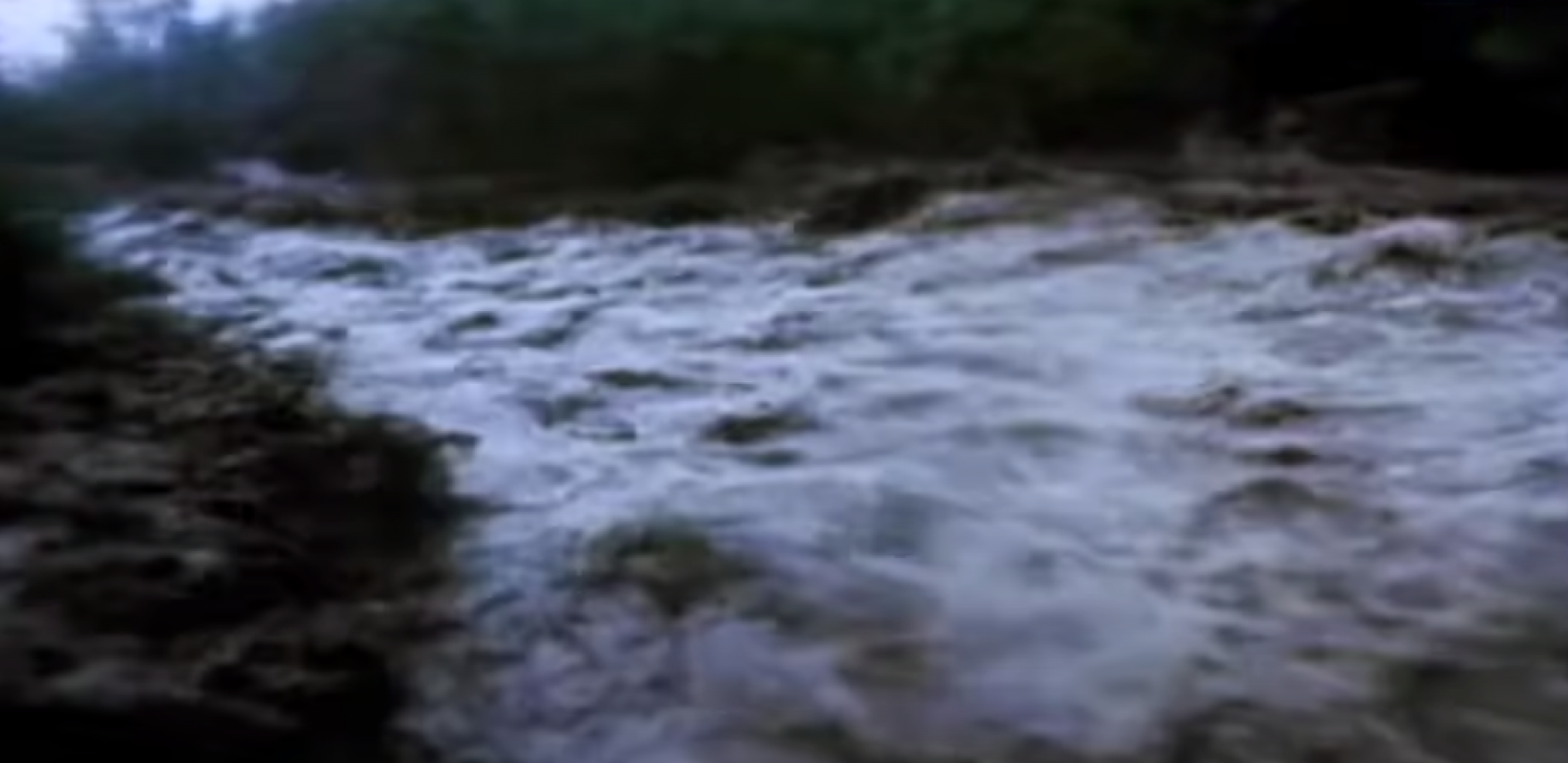 ŽESTOKA OLUJA U CRNOJ GORI! Izlile se reke, poplavljene kuće!