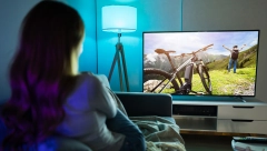 PROGRAMSKA ŠEMA za 01. januar