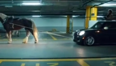 RUSIJA JEDNIM SNIMKOM PONIZILA CEO ZAPAD Evropljani jašu konje, jer nemaju više nafte (VIDEO)