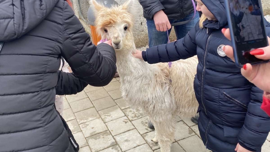 HUMANO Besplatan zoo-vrt za decu sa posebnim staranjem: Lepša budućnost za male borce