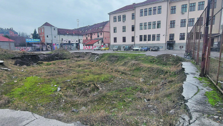 Leglo zmija velika opasnost za đake