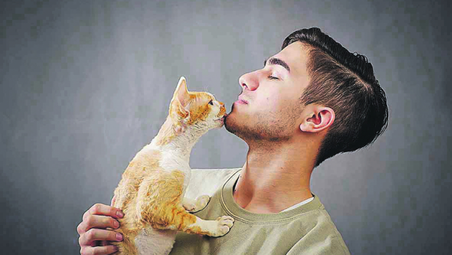 Mit ili ne: Zašto se mačke uvek moraju oko onog ko ih ne voli