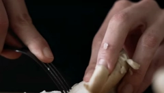 PODIŽE IMUNITET, SNIŽAVA HOLESTEROL I ŠEĆER Ovu namirnicu možete da kupite na svakoj pijaci