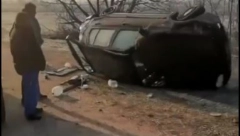 UMALO IZGINULI ZBOG JAGNJETINE Filmska potera za životinjom na Požarevačkom putu! (FOTO)